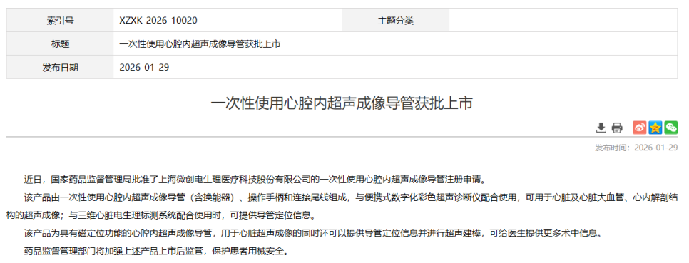 자기 위치 추적 초음파 카테터 - 상하이 미창 전리 의료기술